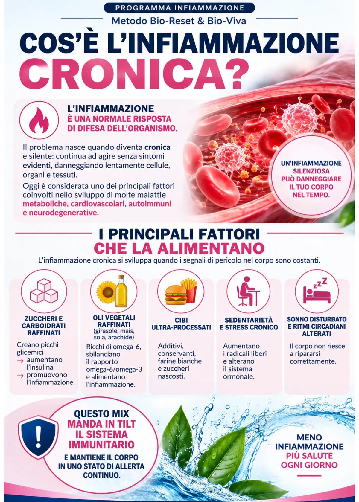 Guida Digitale | Come disinfiammare il tuo corpo grazie a Bio-Viva e il Metodo Bio-Reset  Prodotto digitale Bio-Viva Bio-Viva